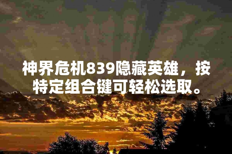 神界危机839隐藏英雄，按特定组合键可轻松选取。