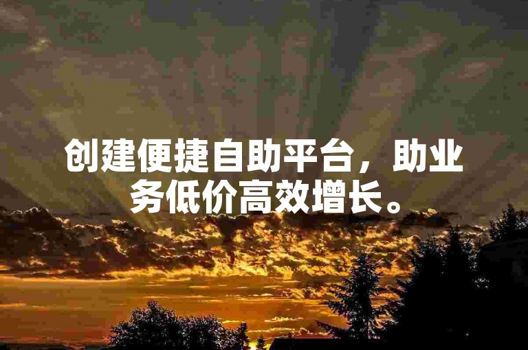创建便捷自助平台，助业务低价高效增长。