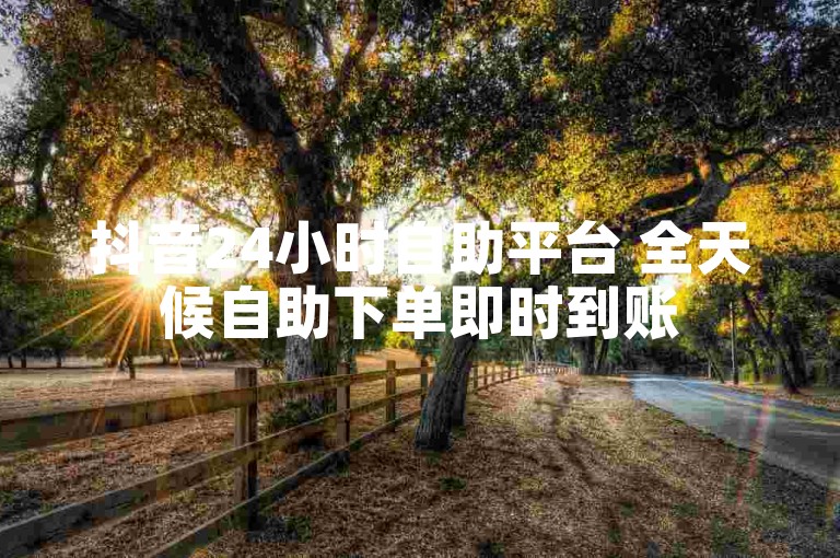 抖音24小时自助平台 全天候自助下单即时到账
