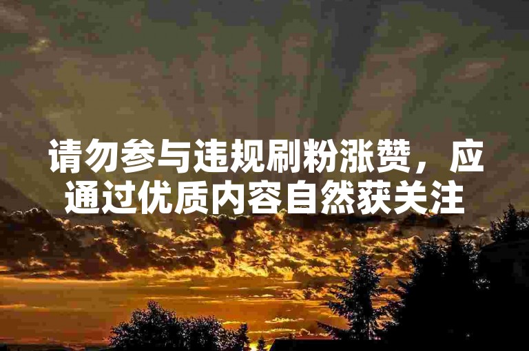 请勿参与违规刷粉涨赞，应通过优质内容自然获关注认可。