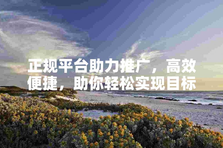 正规平台助力推广，高效便捷，助你轻松实现目标。