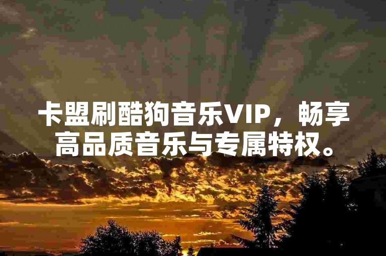 卡盟刷酷狗音乐VIP，畅享高品质音乐与专属特权。