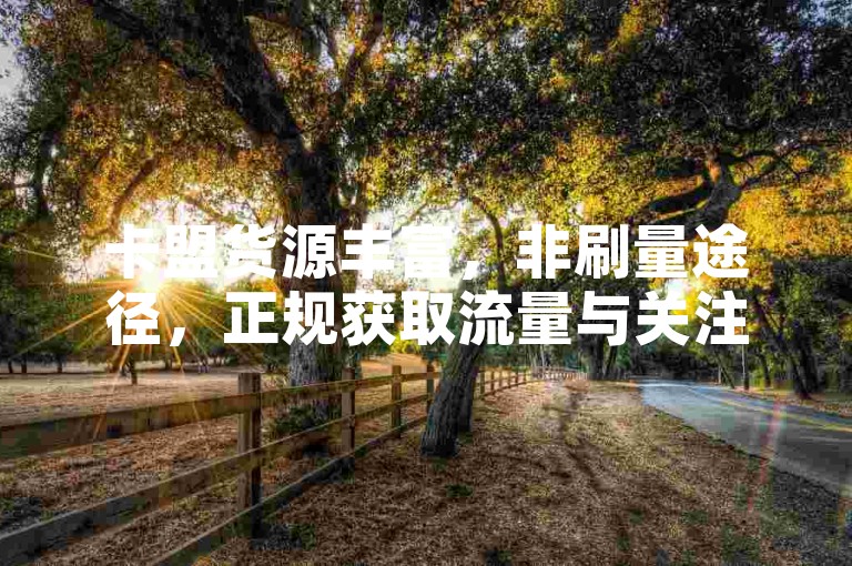 卡盟货源丰富，非刷量途径，正规获取流量与关注。
