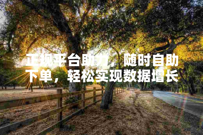 正规平台助力，随时自助下单，轻松实现数据增长。