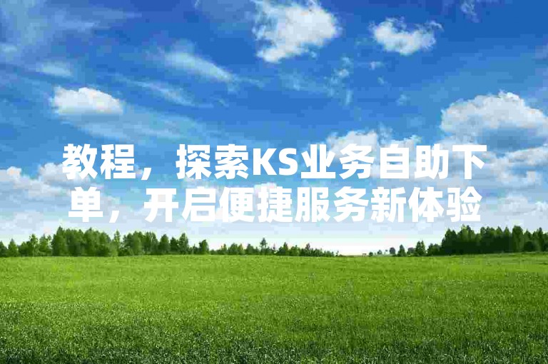 教程，探索KS业务自助下单，开启便捷服务新体验。