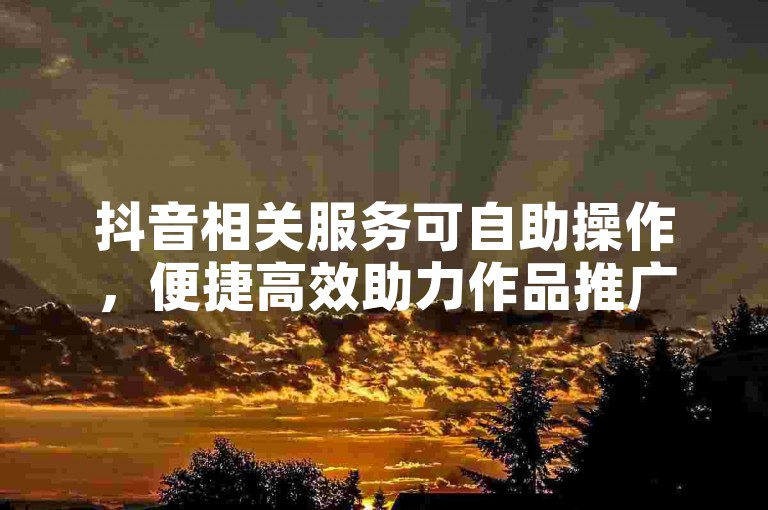 抖音相关服务可自助操作，便捷高效助力作品推广。