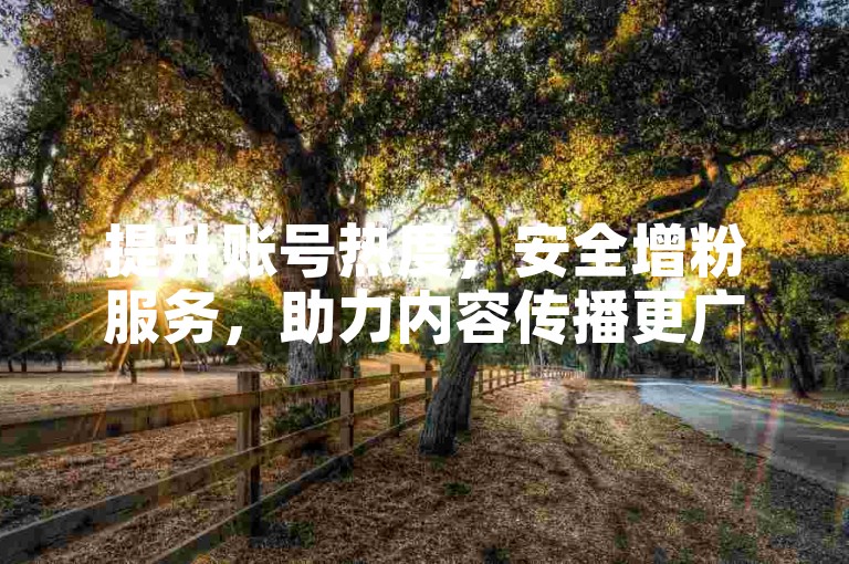 提升账号热度，安全增粉服务，助力内容传播更广泛。