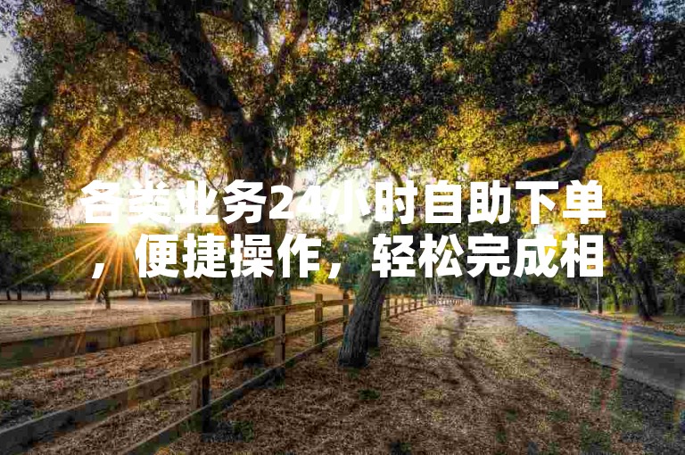 各类业务24小时自助下单，便捷操作，轻松完成相关服务。