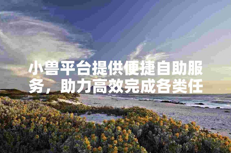 小兽平台提供便捷自助服务，助力高效完成各类任务。