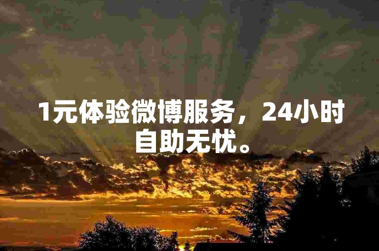 1元体验微博服务，24小时自助无忧。