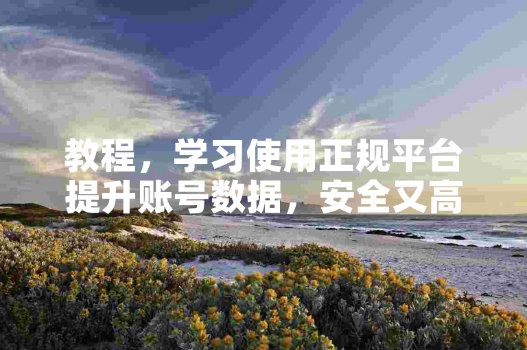 教程，学习使用正规平台提升账号数据，安全又高效。