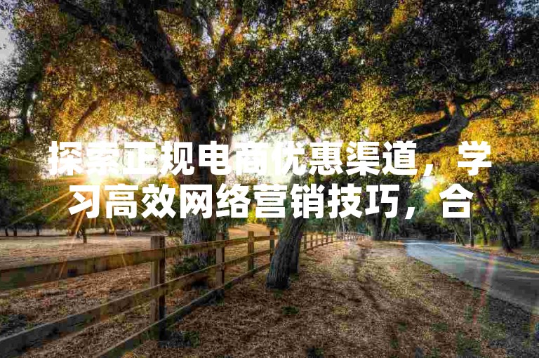 探索正规电商优惠渠道，学习高效网络营销技巧，合理规划广告预算。