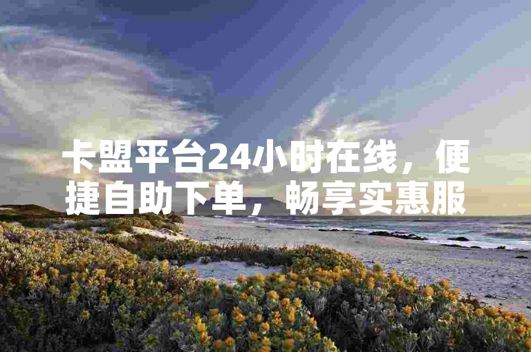 卡盟平台24小时在线，便捷自助下单，畅享实惠服务。