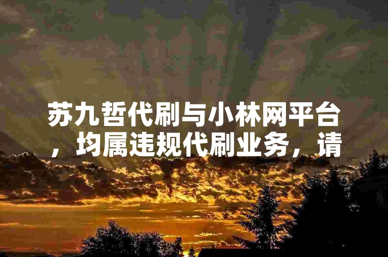 苏九哲代刷与小林网平台，均属违规代刷业务，请勿尝试。