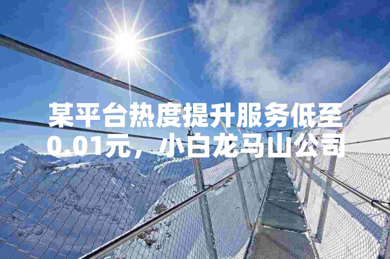 某平台热度提升服务低至0.01元，小白龙马山公司供便捷选择