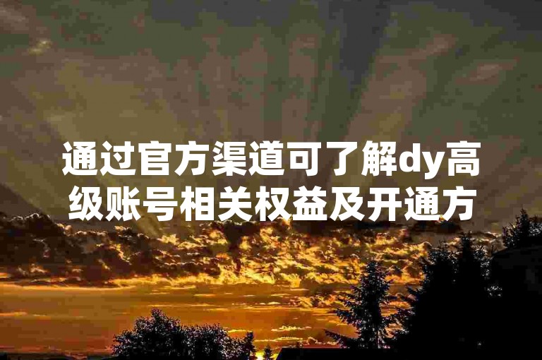 通过官方渠道可了解dy高级账号相关权益及开通方式。