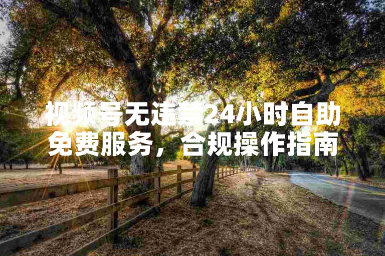 视频号无违禁24小时自助免费服务，合规操作指南。