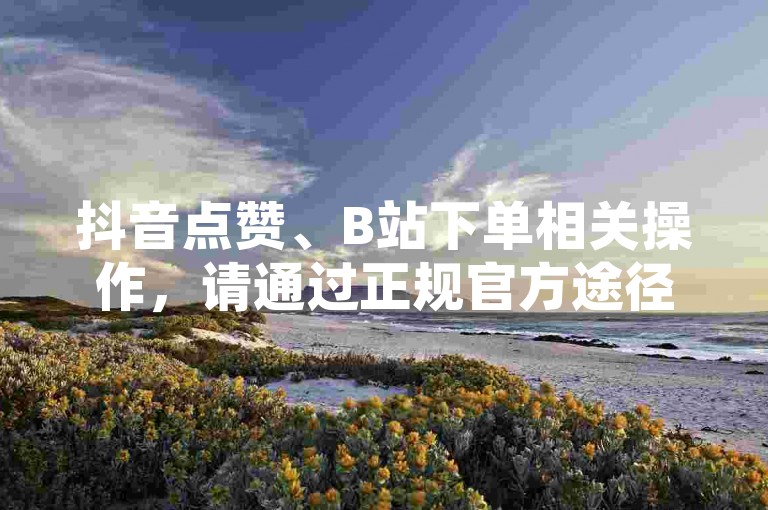 抖音点赞、B站下单相关操作，请通过正规官方途径进行哦。