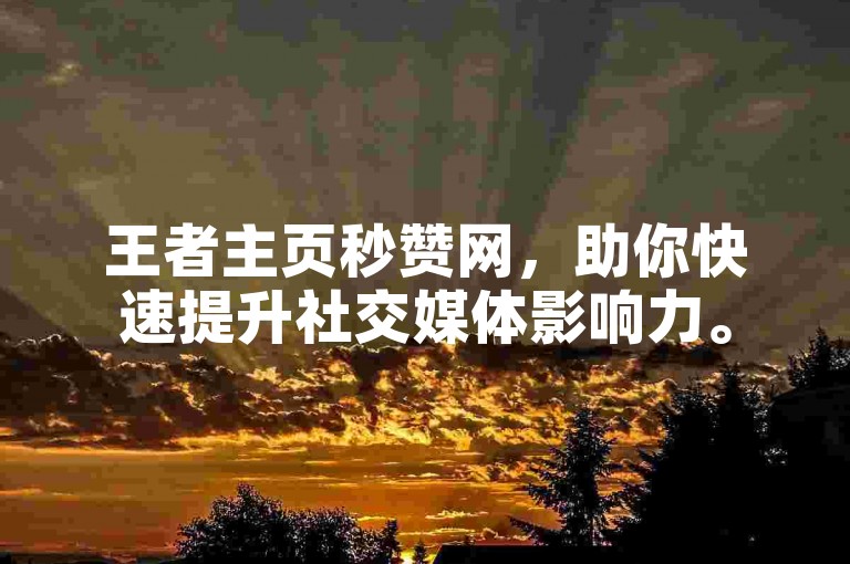 王者主页秒赞网，助你快速提升社交媒体影响力。