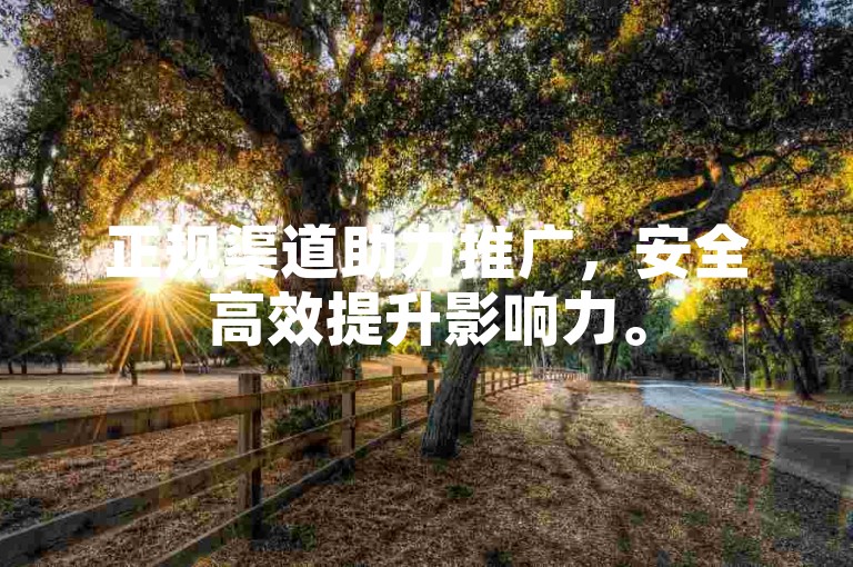正规渠道助力推广，安全高效提升影响力。