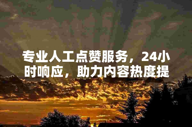 专业人工点赞服务，24小时响应，助力内容热度提升。