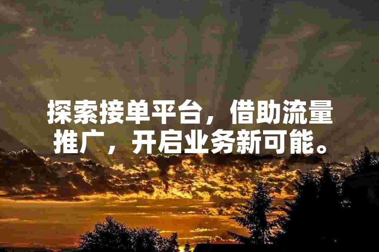 探索接单平台，借助流量推广，开启业务新可能。