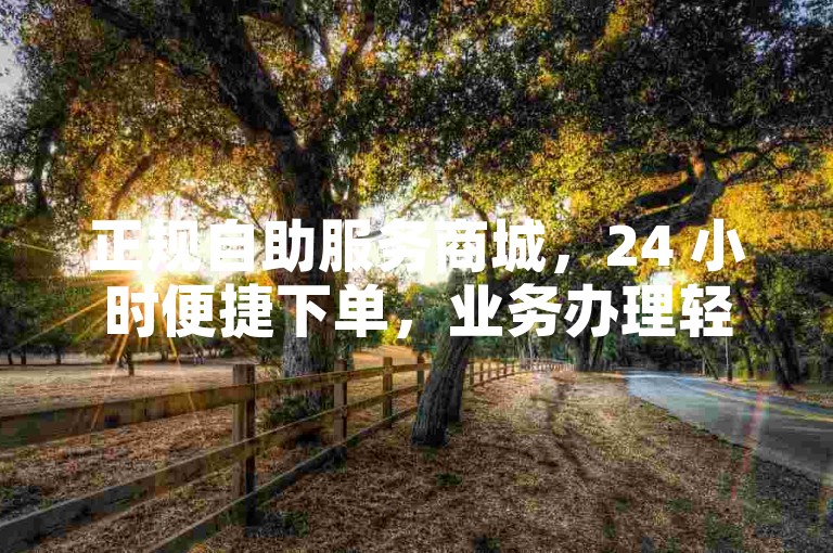 正规自助服务商城，24 小时便捷下单，业务办理轻松无忧。