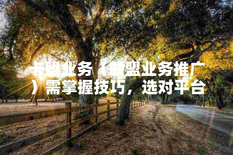 卡盟业务（联盟业务推广）需掌握技巧，选对平台与产品是关键。