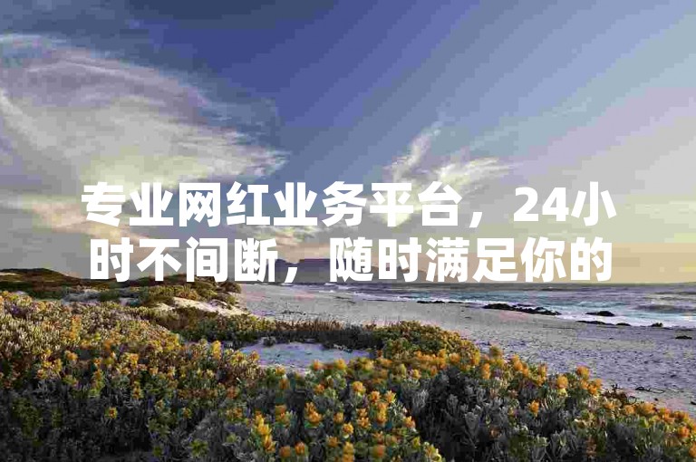 专业网红业务平台，24小时不间断，随时满足你的需求！