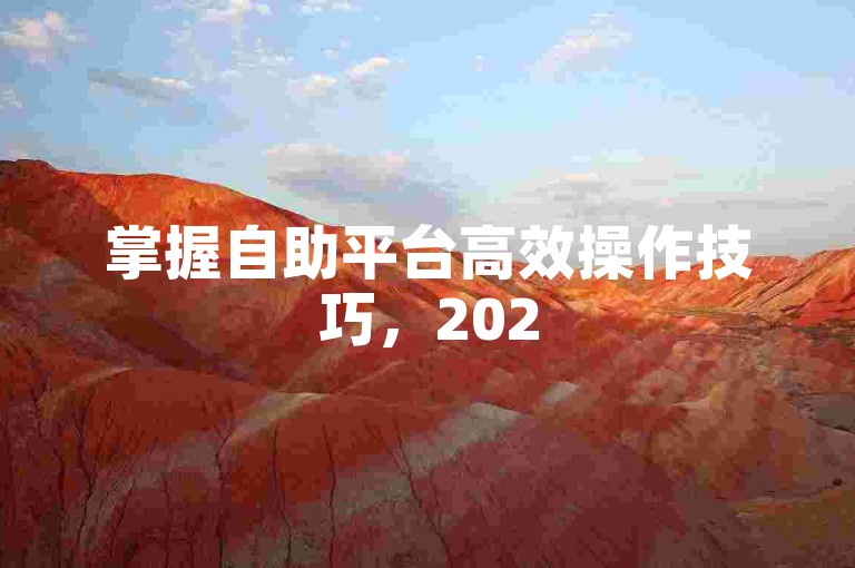 掌握自助平台高效操作技巧，2025年轻松提升服务体验！
