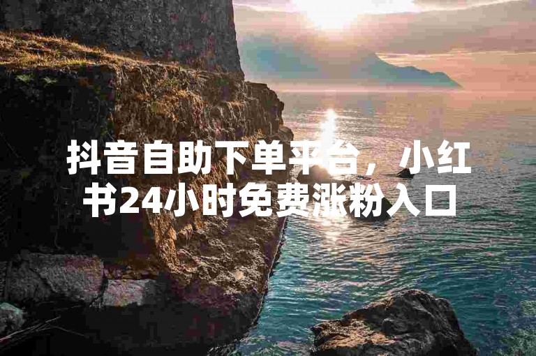 抖音自助下单平台，小红书24小时免费涨粉入口