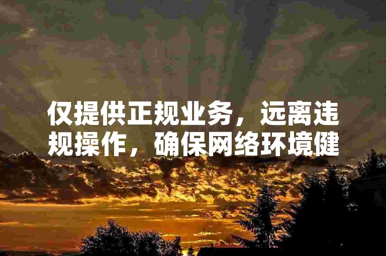 仅提供正规业务，远离违规操作，确保网络环境健康。