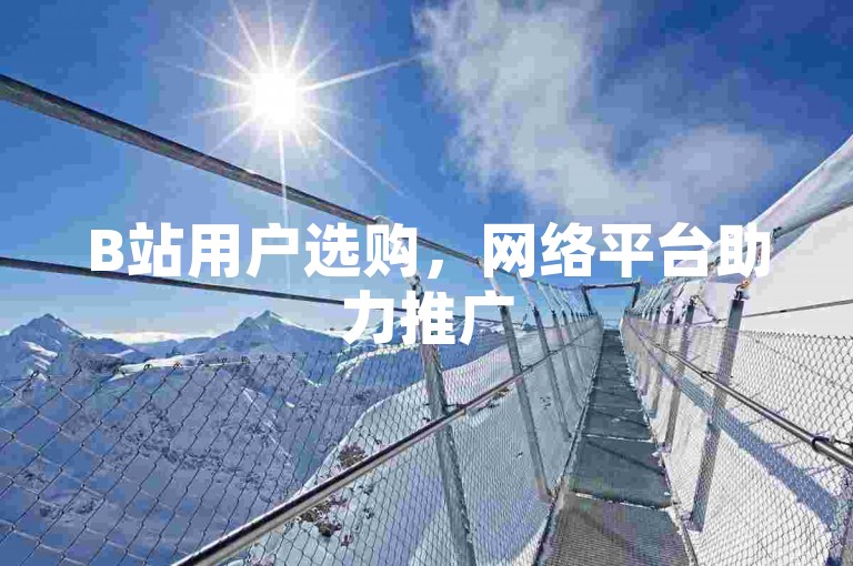 B站用户选购，网络平台助力推广