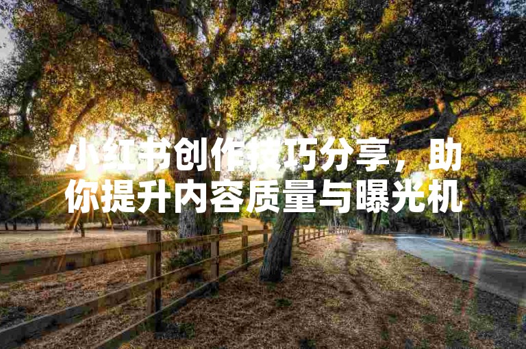 小红书创作技巧分享，助你提升内容质量与曝光机会。