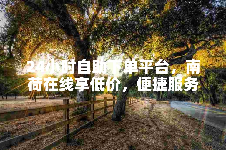 24小时自助下单平台，南荷在线享低价，便捷服务随时体验。