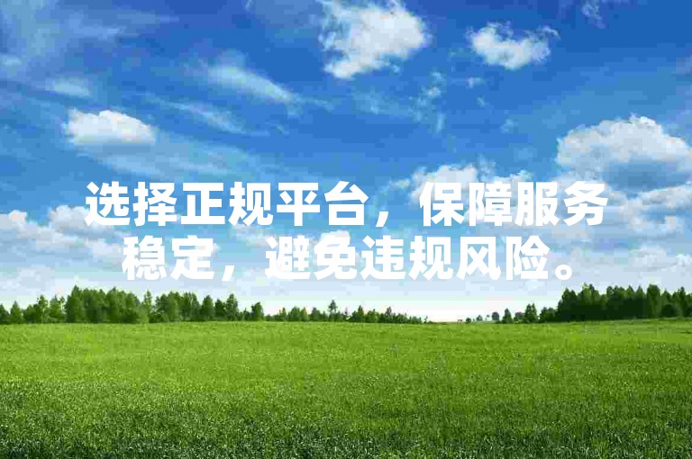 选择正规平台，保障服务稳定，避免违规风险。