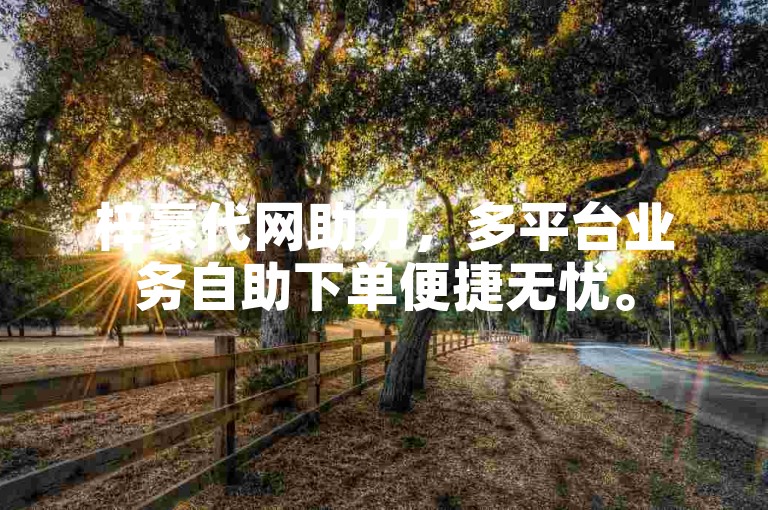 梓豪代网助力，多平台业务自助下单便捷无忧。