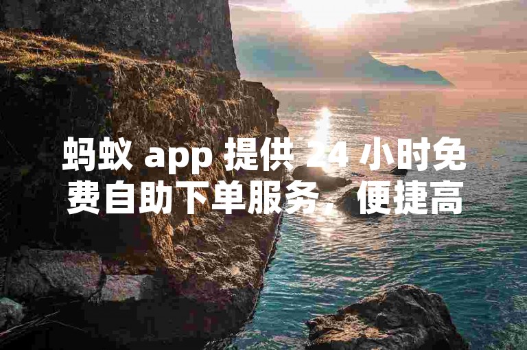 蚂蚁 app 提供 24 小时免费自助下单服务，便捷高效。