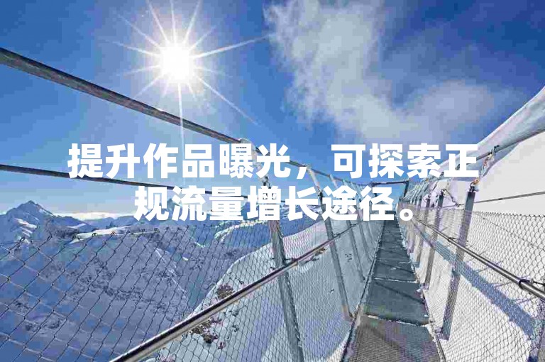 提升作品曝光，可探索正规流量增长途径。