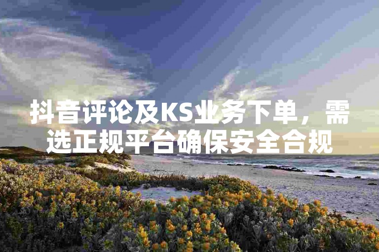 抖音评论及KS业务下单，需选正规平台确保安全合规。
