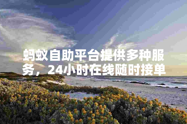 蚂蚁自助平台提供多种服务，24小时在线随时接单。