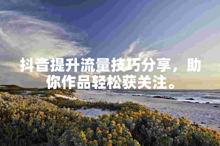 抖音提升流量技巧分享，助你作品轻松获关注。