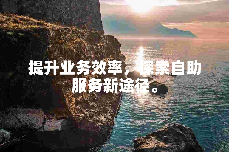 提升业务效率，探索自助服务新途径。