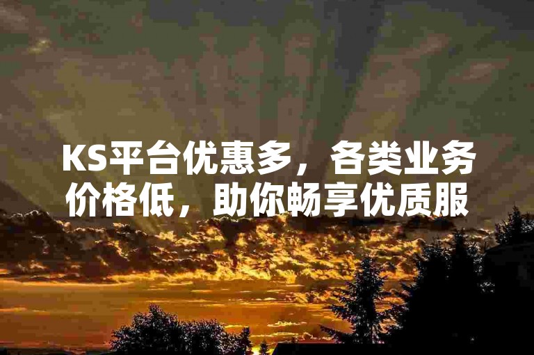 KS平台优惠多，各类业务价格低，助你畅享优质服务。