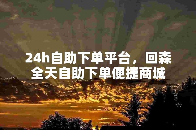 24h自助下单平台，回森全天自助下单便捷商城