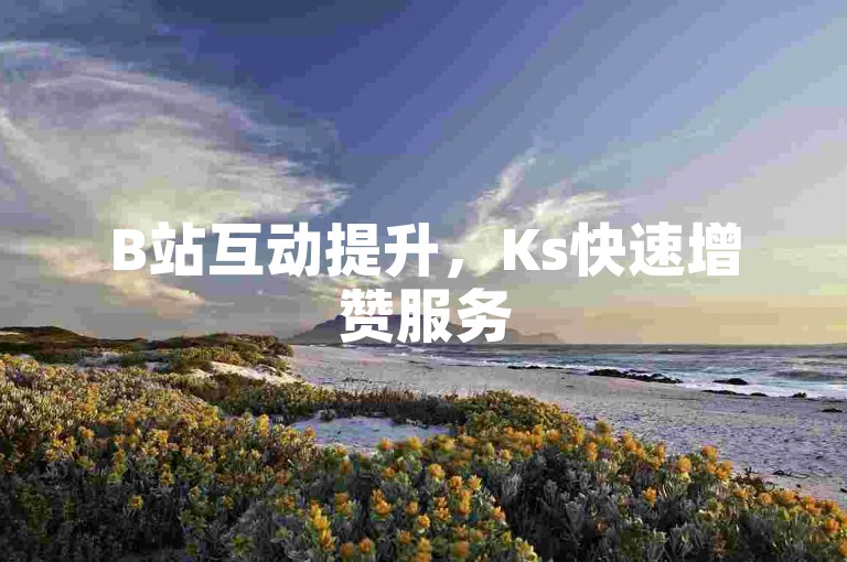 B站互动提升，Ks快速增赞服务