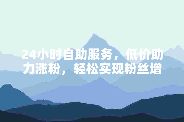 24小时自助服务，低价助力涨粉，轻松实现粉丝增长。
