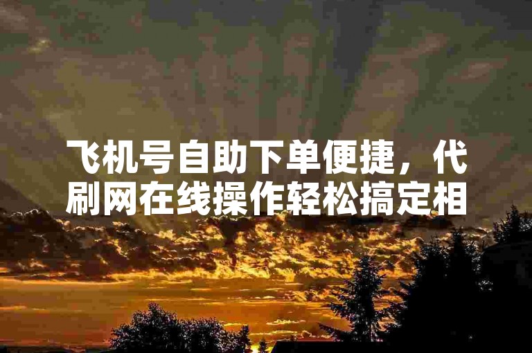 飞机号自助下单便捷，代刷网在线操作轻松搞定相关需求。