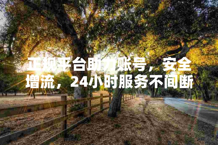 正规平台助力账号，安全增流，24小时服务不间断。