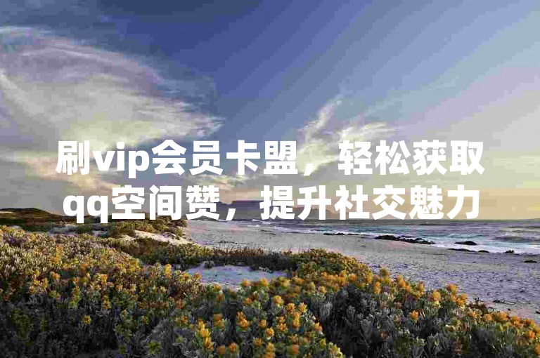 刷vip会员卡盟，轻松获取qq空间赞，提升社交魅力。